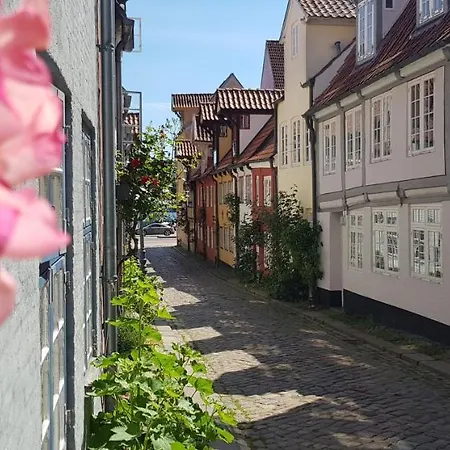 Koje Oluf-samson-gang 弗伦斯堡